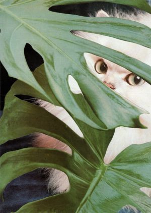 Stephen Eichhorn, Cats and Plants