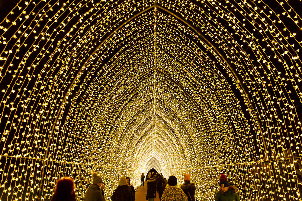 Lightscape, Chicago Botanic Garden, 2019