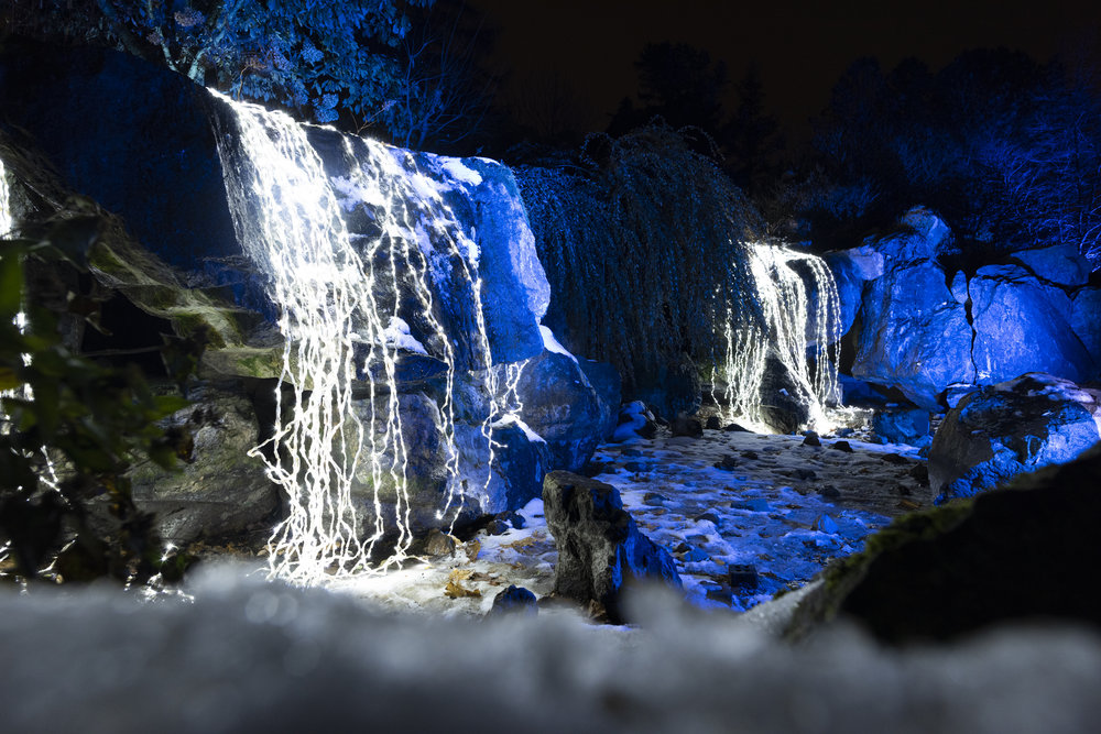 Lightscape, Chicago Botanic Garden, 2019